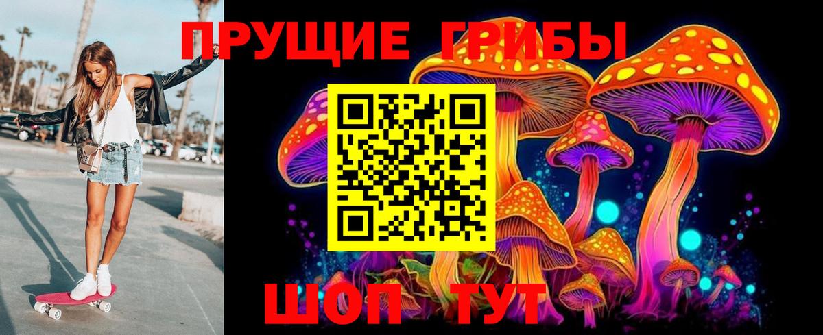 Электросталь  Псилоцибиновые грибы Psilocybe  Вход с VPN 